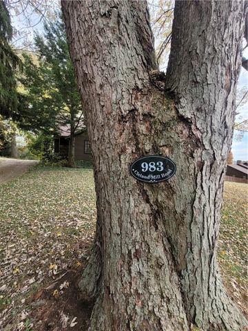 983 Cleland Mill Rd, North Beaver Twp, PA 16102