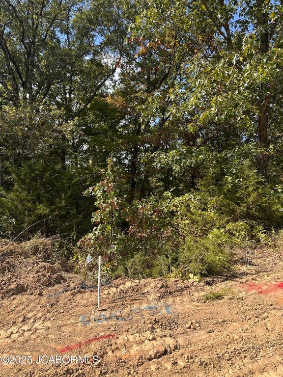 LOT 37 STERLING RIDGE, Holts Summit, MO 65043