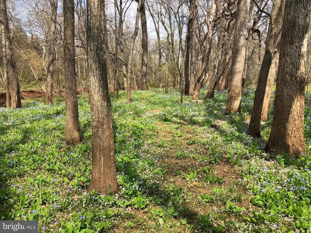 10101 ALYDAR CT, Nokesville, VA 20181