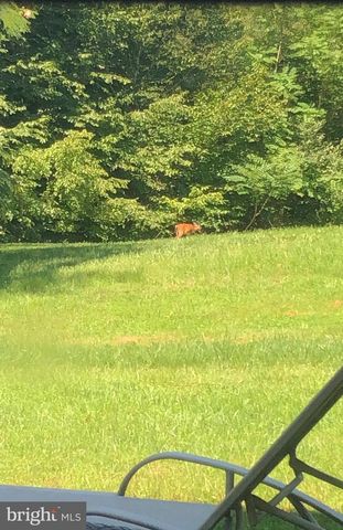 10101 ALYDAR CT, Nokesville, VA 20181