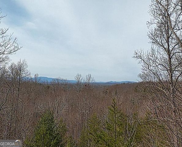 76 Channing Hollow, Morganton, GA 30560