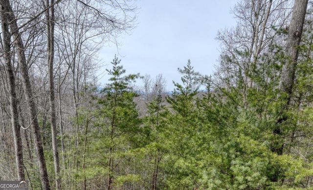76 Channing Hollow, Morganton, GA 30560
