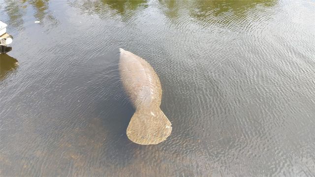 1806 NE 22nd Terrace, Fort Lauderdale, FL 33305