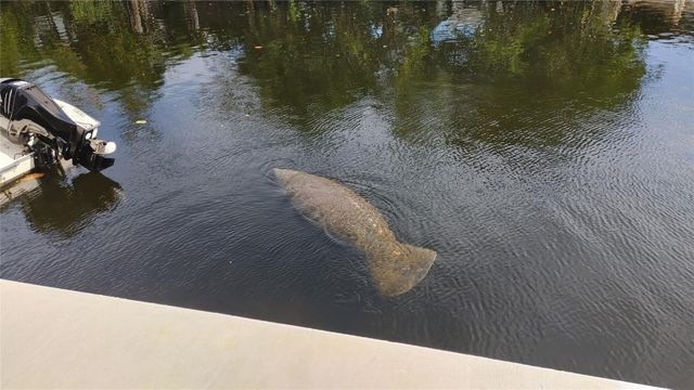 1806 NE 22nd Terrace, Fort Lauderdale, FL 33305