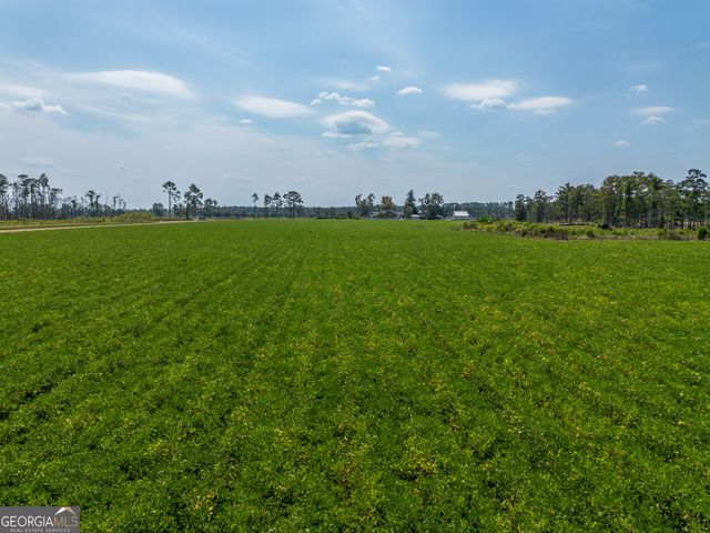 1671 Warren Carter Road, Douglas, GA 31533