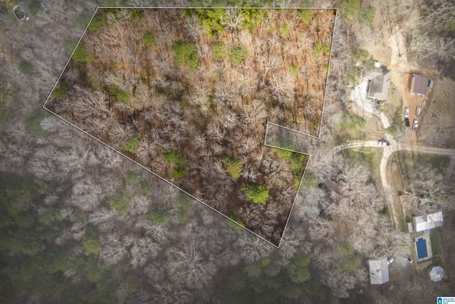 0 NORMAN STREET, Springville, AL 35146