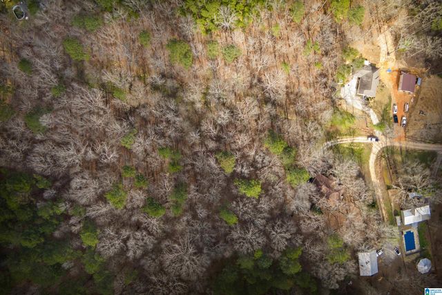 0 NORMAN STREET, Springville, AL 35146