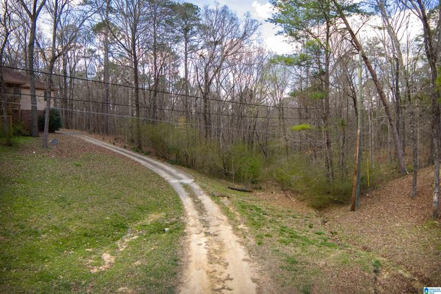 0 NORMAN STREET, Springville, AL 35146