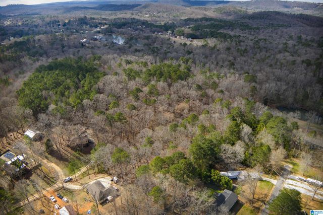 0 NORMAN STREET, Springville, AL 35146