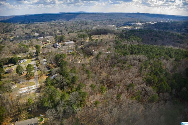 0 NORMAN STREET, Springville, AL 35146