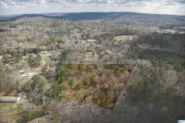 0 NORMAN STREET, Springville, AL 35146