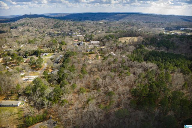 0 NORMAN STREET, Springville, AL 35146