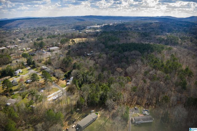 0 NORMAN STREET, Springville, AL 35146