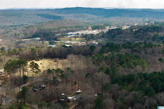 0 NORMAN STREET, Springville, AL 35146