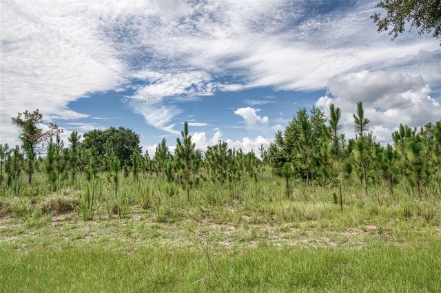 2924 MAJESTIC ISLE DRIVE, Clermont, FL 34711