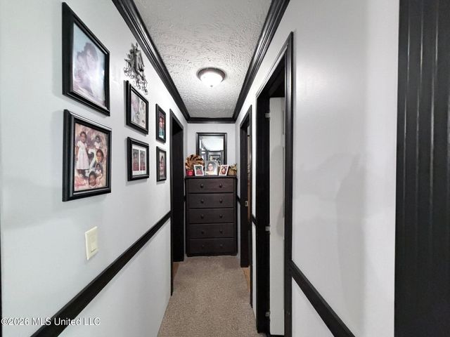 439 County Road 444, Oxford, MS 38655