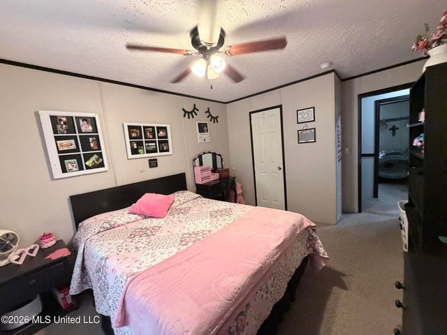 439 County Road 444, Oxford, MS 38655