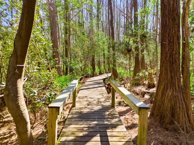 138 N Myrtle Drive UNIT 122, Santa Rosa Beach, FL 32459