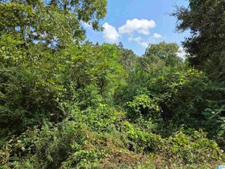 0 FINLEY AVENUE, Sylacauga, AL 35150