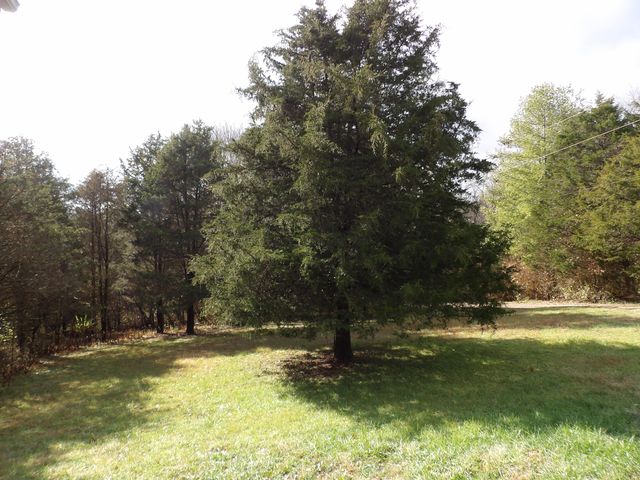 435 Hinton Sadieville Road, Sadieville, KY 40370