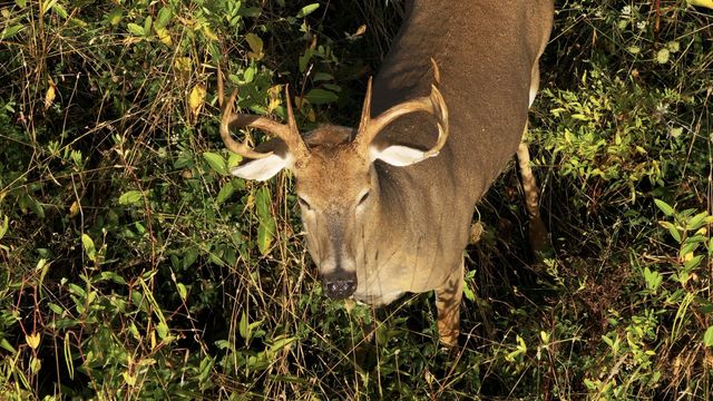 435 Hinton Sadieville Road, Sadieville, KY 40370