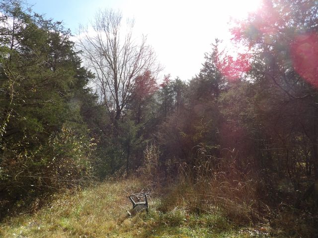 435 Hinton Sadieville Road, Sadieville, KY 40370