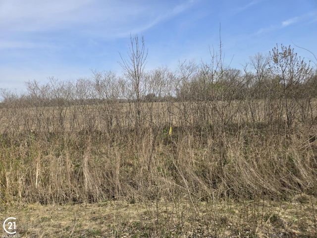 0 Weber (LOT C) Road, Richmond, MI 48063