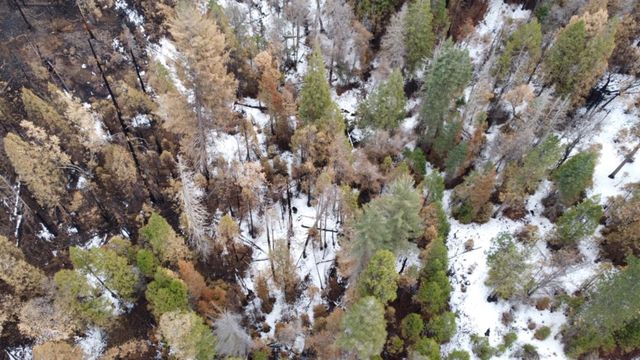 0 Woodland Road, Shaver Lake, CA 93664