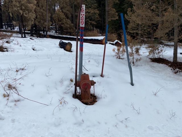 0 Woodland Road, Shaver Lake, CA 93664