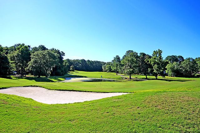 115 Challis Court, Goose Creek, SC 29445