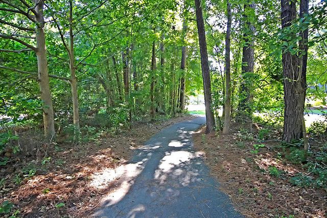 115 Challis Court, Goose Creek, SC 29445