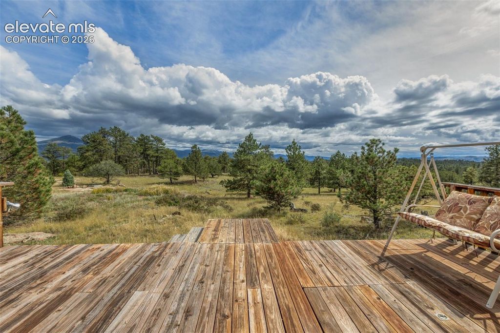 82 Ute Circle, Florissant, CO 80816 — photo 4