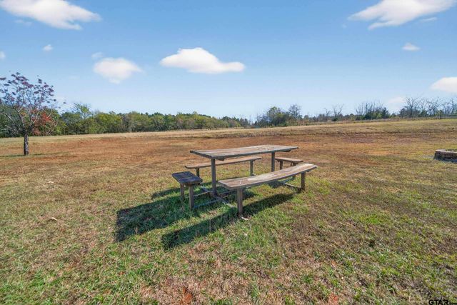 20767 CR 419, Tyler, TX 75704