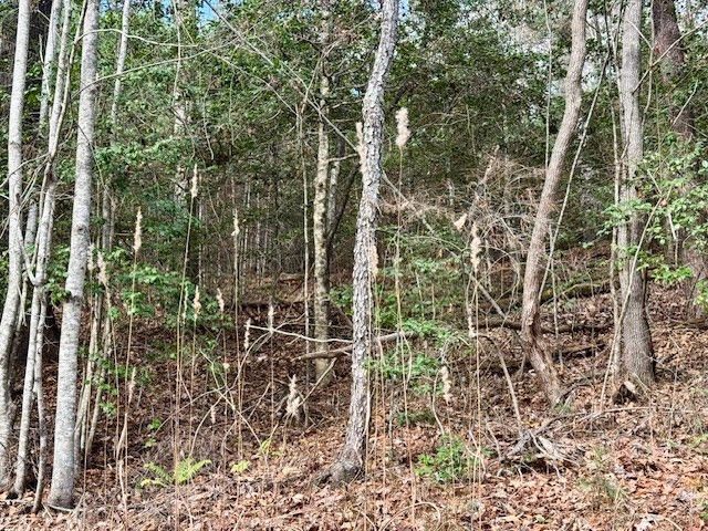 Lot 9 Timberline Road, Murphy, NC 28906