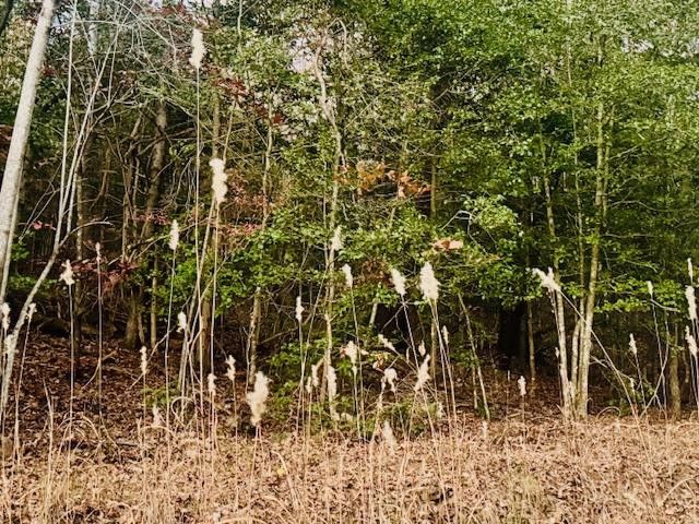Lot 9 Timberline Road, Murphy, NC 28906