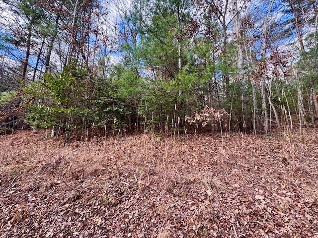 Lot 9 Timberline Road, Murphy, NC 28906