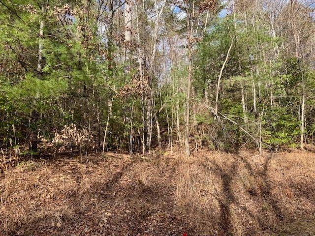 Lot 9 Timberline Road, Murphy, NC 28906
