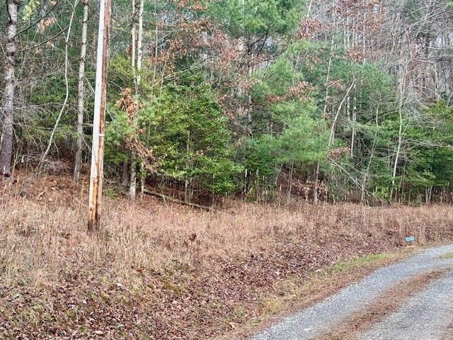 Lot 9 Timberline Road, Murphy, NC 28906