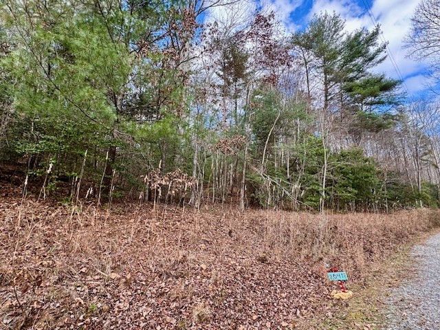 Lot 9 Timberline Road, Murphy, NC 28906