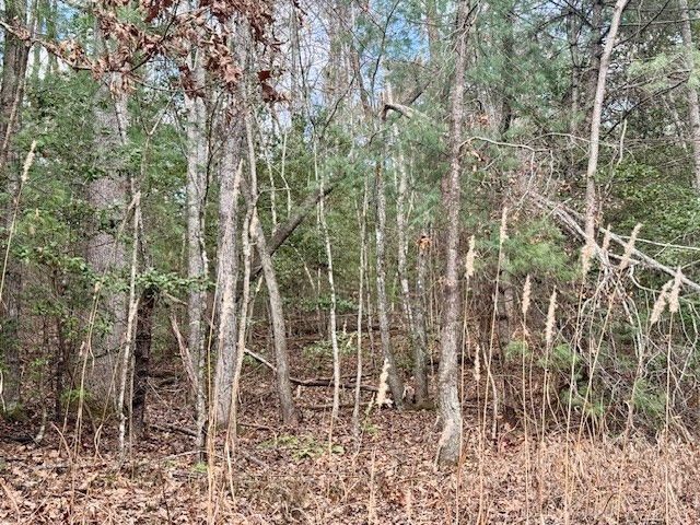 Lot 9 Timberline Road, Murphy, NC 28906