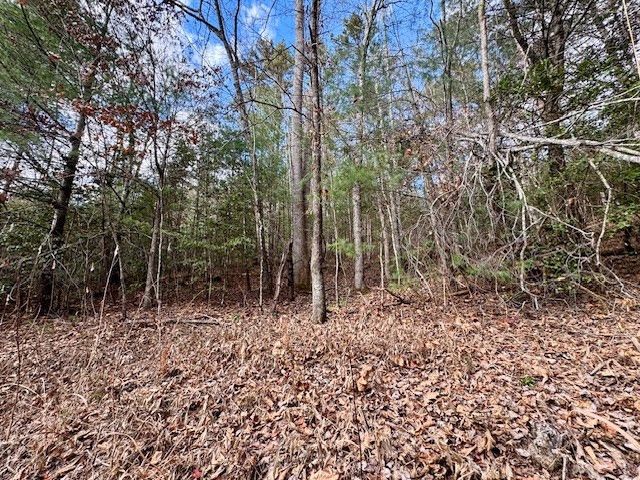 Lot 9 Timberline Road, Murphy, NC 28906
