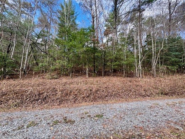 Lot 9 Timberline Road, Murphy, NC 28906