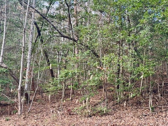 Lot 9 Timberline Road, Murphy, NC 28906