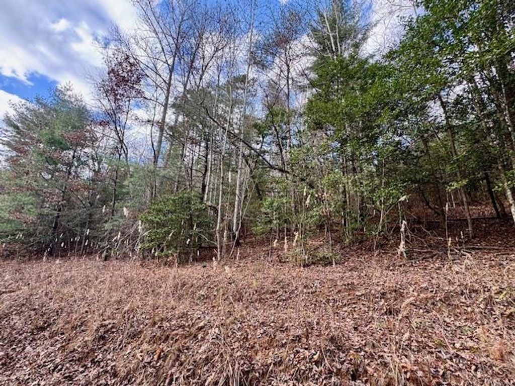 Lot 9 Timberline Road, Murphy, NC 28906