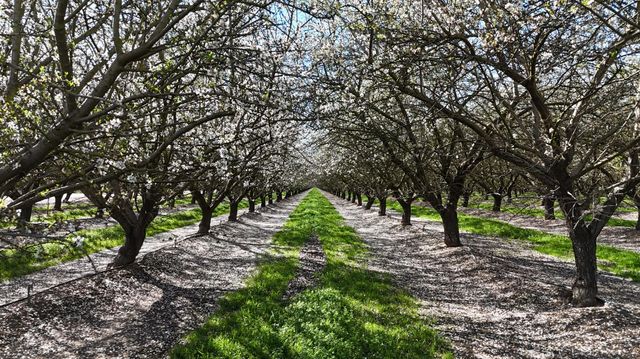 11152 Carrolton Rd, Escalon, CA 95320