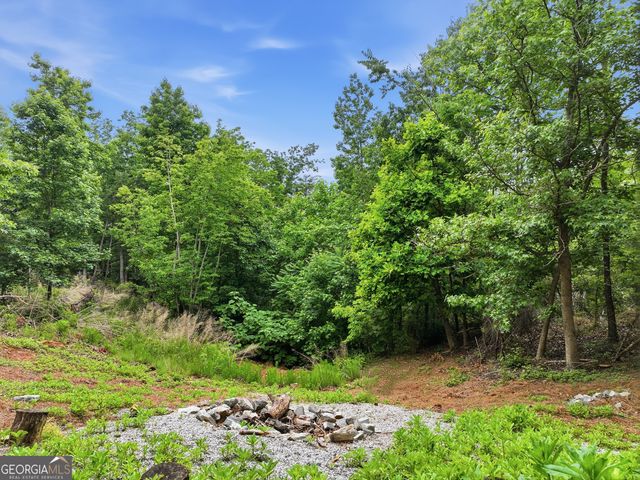 97 Eagle Ridge Trail, Cleveland, GA 30528