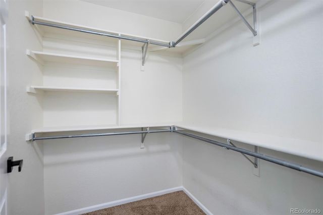 1248 Red Mountain Drive, Longmont, CO 80504