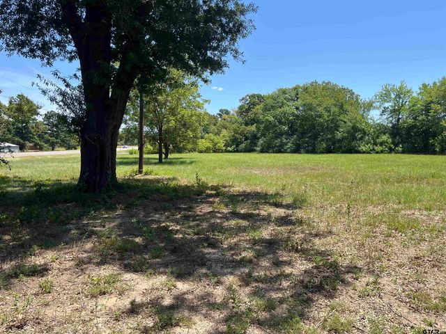 4955 St. Hwy 64, Ben Wheeler, TX 75754