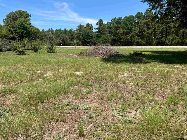 4955 St. Hwy 64, Ben Wheeler, TX 75754