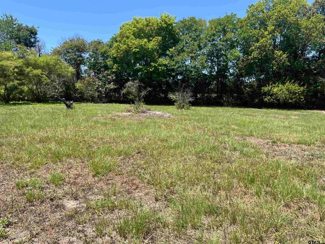4955 St. Hwy 64, Ben Wheeler, TX 75754